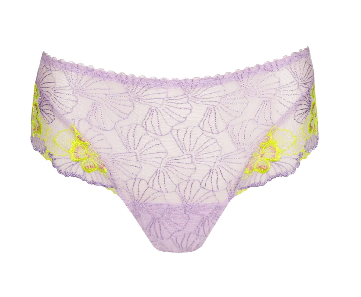 String PrimaDonna - Ixia - Paars - WIA