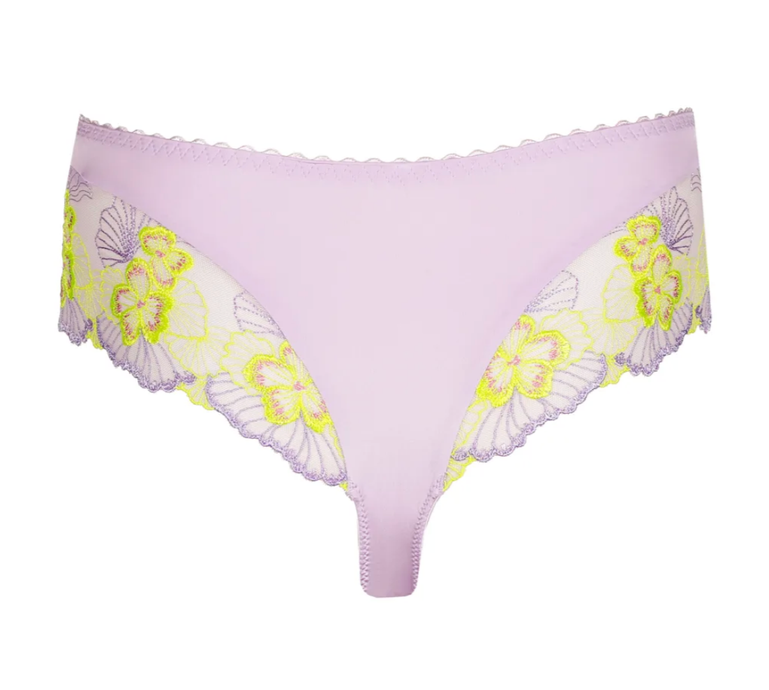 String PrimaDonna - Ixia - Paars - WIA