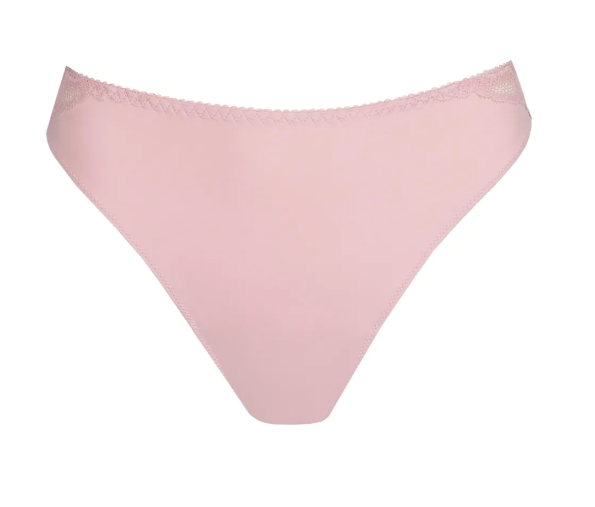 String PrimaDonna - Salerno - Rose - SNR