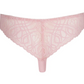 String PrimaDonna - Salerno - Rose - SNR