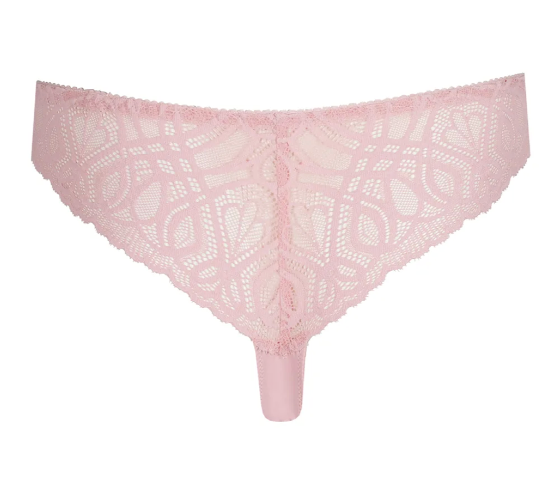 String PrimaDonna - Salerno - Rose - SNR