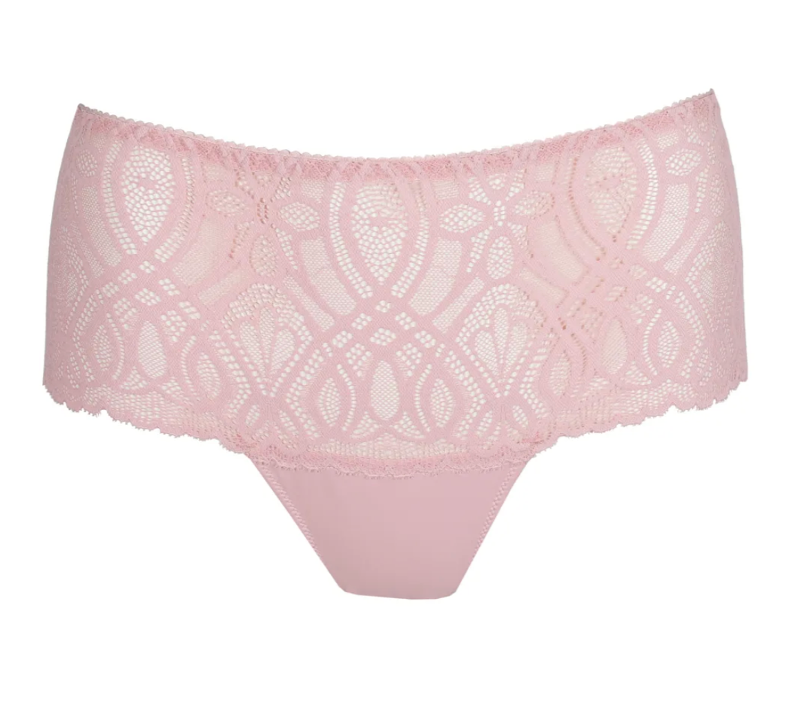 String PrimaDonna - Salerno - Rose - SNR
