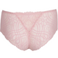 String PrimaDonna - Salerno - Rose - SNR