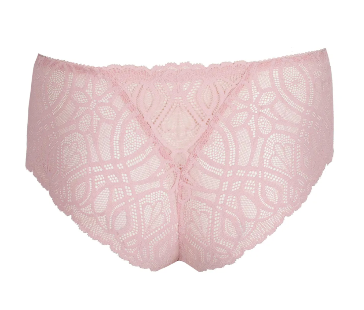 String PrimaDonna - Salerno - Rose - SNR