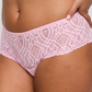 String PrimaDonna - Salerno - Rose - SNR