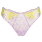 String PrimaDonna - Ixia - Paars - WIA