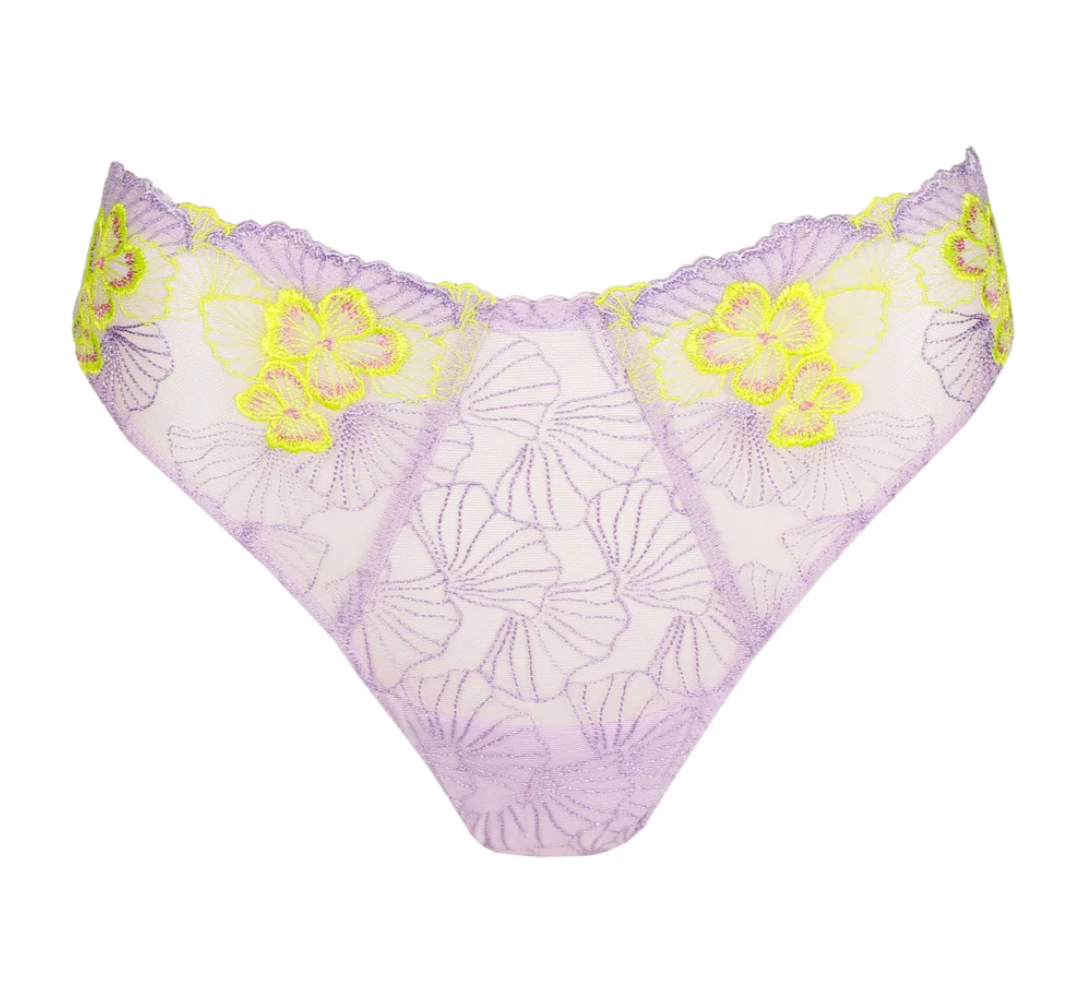 String PrimaDonna - Ixia - Paars - WIA