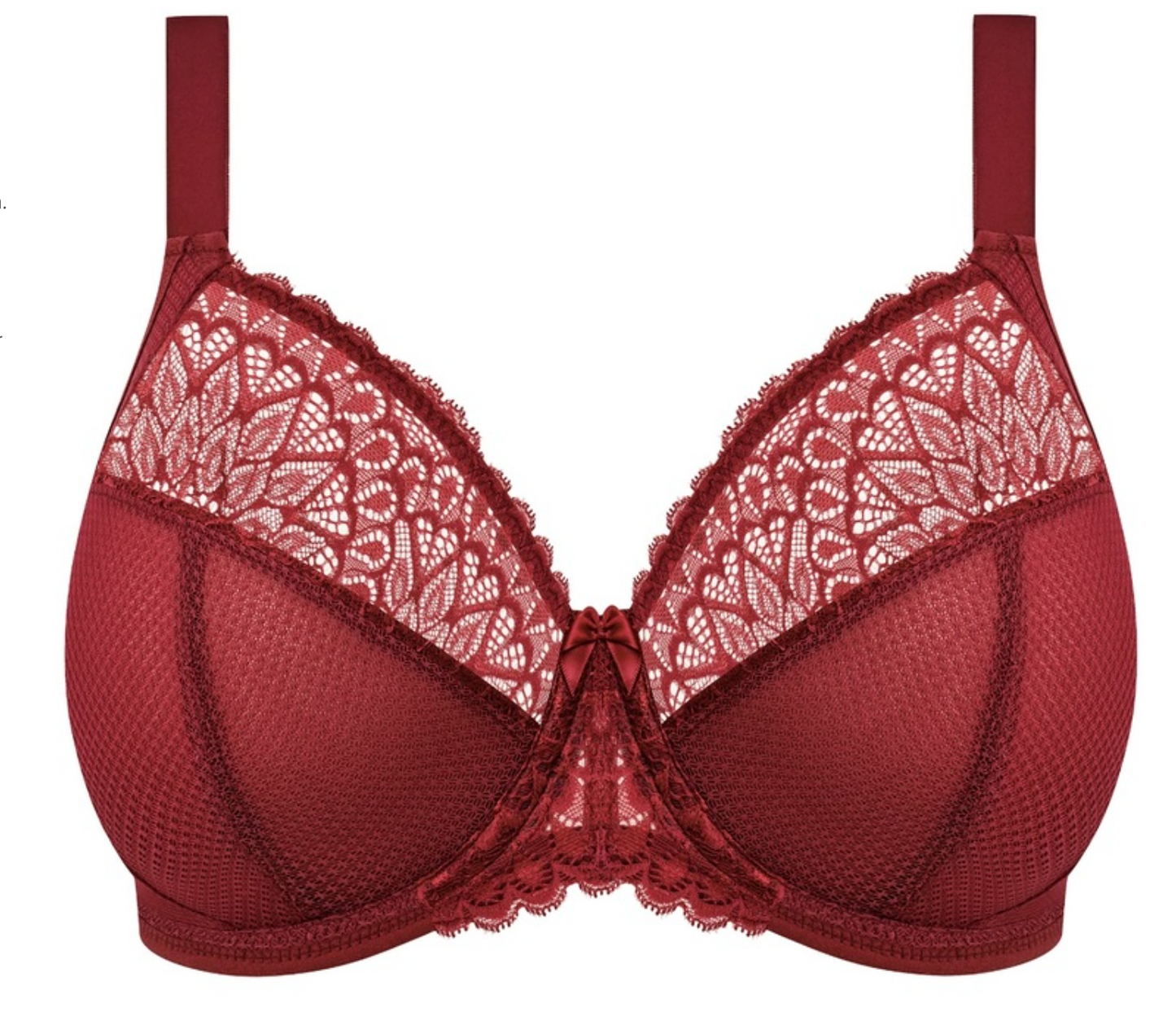 Plunge BH Elomi - Tiernie - Bordeaux - TIB