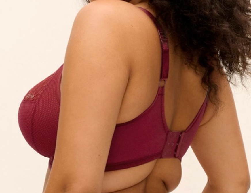 Plunge BH Elomi - Tiernie - Bordeaux - TIB