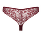 String PrimaDonna - Salerno - Bordeaux - EVR