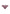 Slip Wacoal - Embrace Lace - Bordeaux - 555