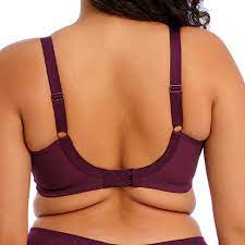 Plunge BH Elomi - Brianna - Paars - JAR