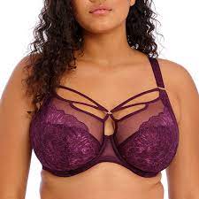 Plunge BH Elomi - Brianna - Paars - JAR