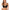 Plunge BH Freya - Awakening - Zwart - BLK