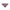Slip Wacoal - Embrace Lace - Bordeaux - 555