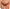 Slip Wacoal - Embrace Lace - Bordeaux - 555