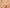 Hipster Fantasie - Rebecca - Beige - NUE