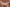 Hipster Chantelle - Romance - Beige - 01N