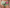 Culotte taille haute Chantelle - Softstretch - Verte - B32