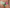 Hipster Chantelle - Softstretch - Verte - B32