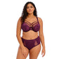 Plunge BH Elomi - Brianna - Bordeaux - BLY