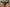 Culotte taille haute Chantelle - Softstretch - Verte - 0FB