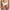 Culotte Marie Jo - Avero - Ivoire - NAT