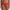 Culotte Marie Jo - Avero - Rouge - SCA