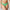 Culotte Marie Jo - Tom - Verte - LUG