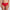 Culotte taille haute Marie Jo - Avero - Rouge - SCA