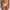 String Marie Jo - Avero - Beige - CAL