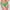 String Marie Jo - Tom - Vert - LUG