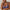 Soutien-gorge balconnet PrimaDonna - Lenca - Bleu - BEY