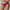 Culotte PrimaDonna - Madison - Rose - FIE