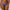 String PrimaDonna - Lenca - Bleu - BEY
