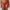 String PrimaDonna - Madison - Rouge - SCA