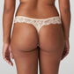 String PrimaDonna - Madison - Beige - CAL