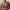Soutien-gorge emboîtant PrimaDonna - Lenca - Bleu - BEY