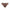Culotte PrimaDonna Twist - Ajusco - Marron - CBT