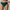 Culotte taille haute PrimaDonna Twist - Knokke - Verte - JAS