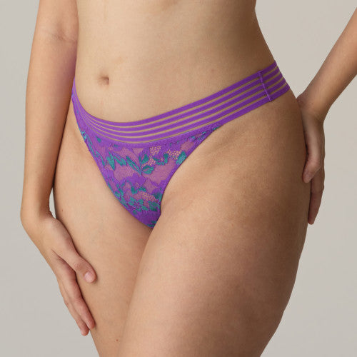 String PrimaDonna Twist - Verao - Violet - ACI