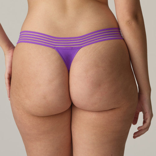 String PrimaDonna Twist - Verao - Violet - ACI