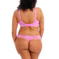 Plunge BH Elomi - Brianna - Rose - VEK