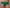 Short Chantelle - Day To Night - Groen - 0FB
