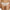 Culotte Chantelle - Hedona - Rose - 0S1