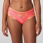 String PrimaDonna - Devdaha - Rose - TRC