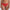 Culotte Marie Jo - Avero Spec. - Rouge - SCA