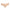 Short Marie Jo - Avero - Beige - CAL