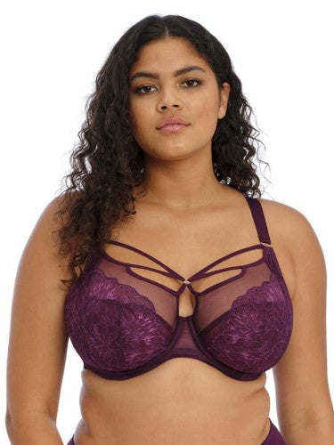 Plunge BH Elomi - Brianna - Bordeaux - BLY