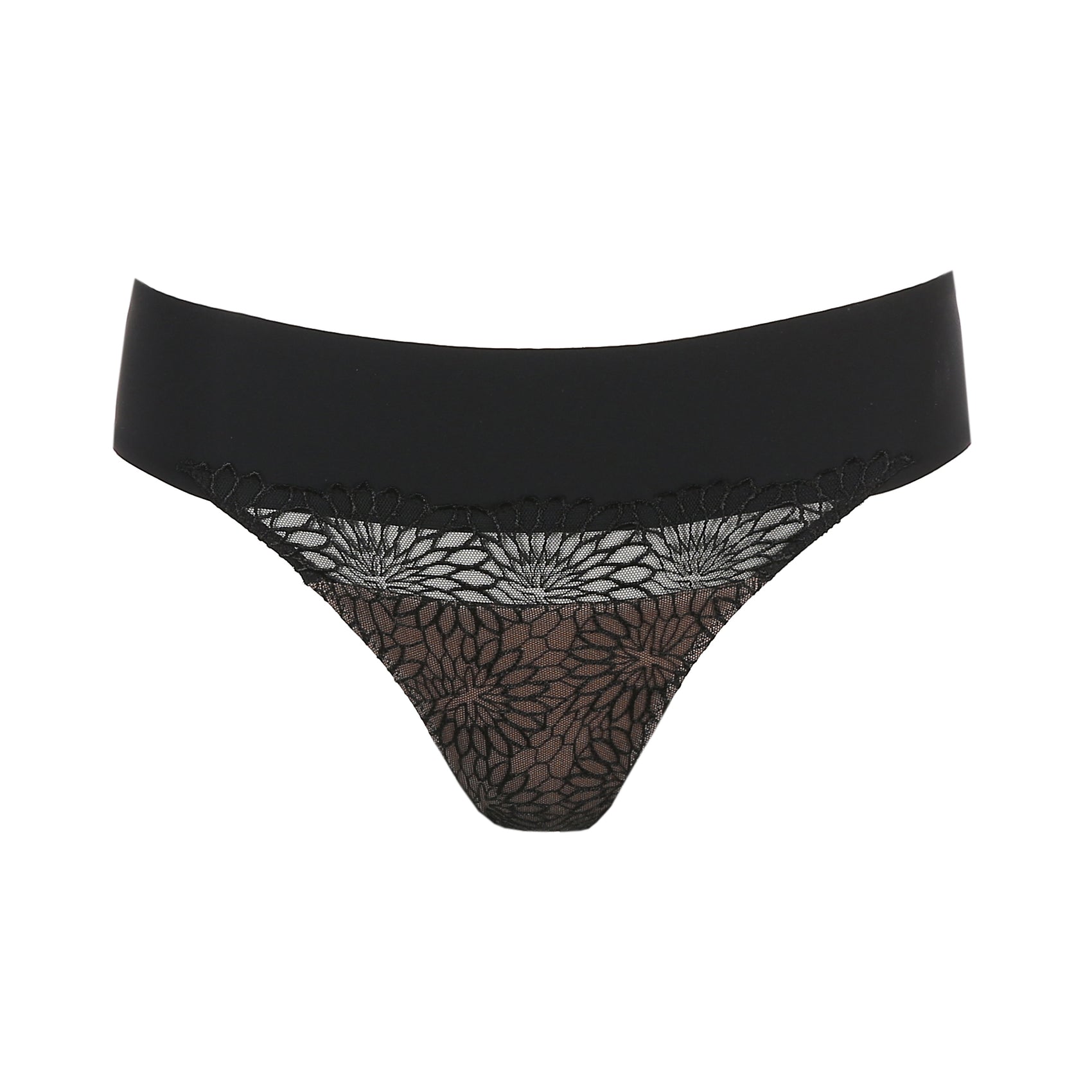 String PrimaDonna - Sophora - Noir - ZWA
